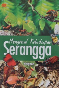 Mengenal Kehidupan Serangga